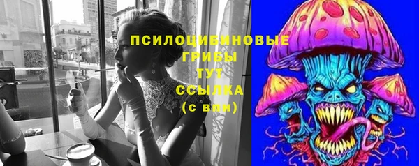 гашик Балахна